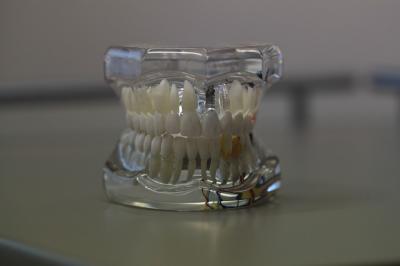 dentistry 668214_640